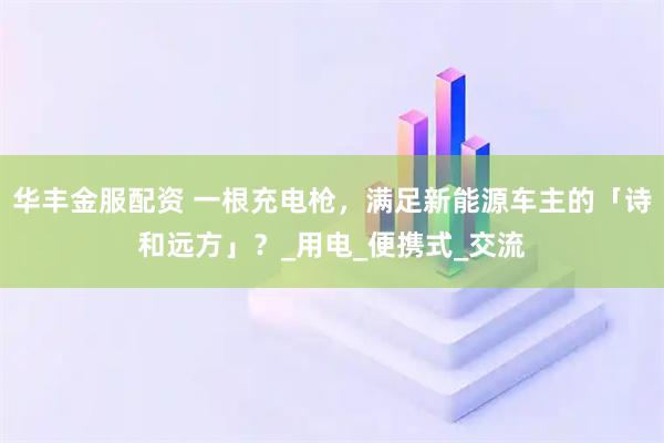 华丰金服配资 一根充电枪，满足新能源车主的「诗和远方」？_用电_便携式_交流