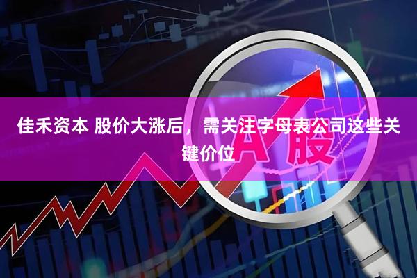 佳禾资本 股价大涨后，需关注字母表公司这些关键价位